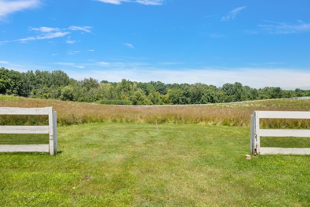 6130 Eidson Rd, Saint Joseph, MI 49085 - view of green lawn featuring a rural view