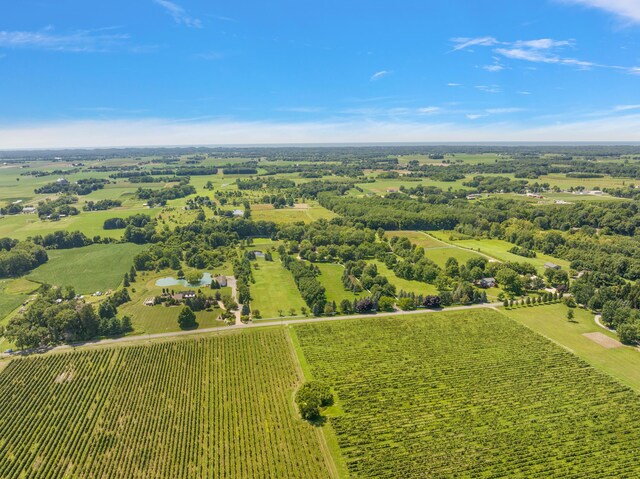 6130 Eidson Rd, Saint Joseph, MI 49085 - aerial view of sparsely populated area with rows of crops