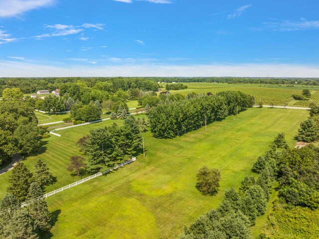 6130 Eidson Rd, Saint Joseph, MI 49085 - aerial view of sparsely populated area