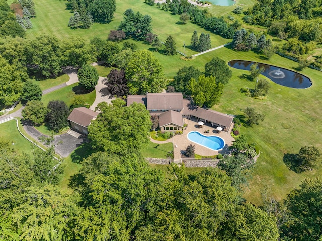 6130 Eidson Rd, Saint Joseph, MI 49085 - bird's eye view of a large body of water and a pool area
