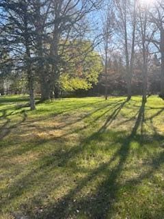7668 Bay Mdw, Canadian Lakes, MI 49346