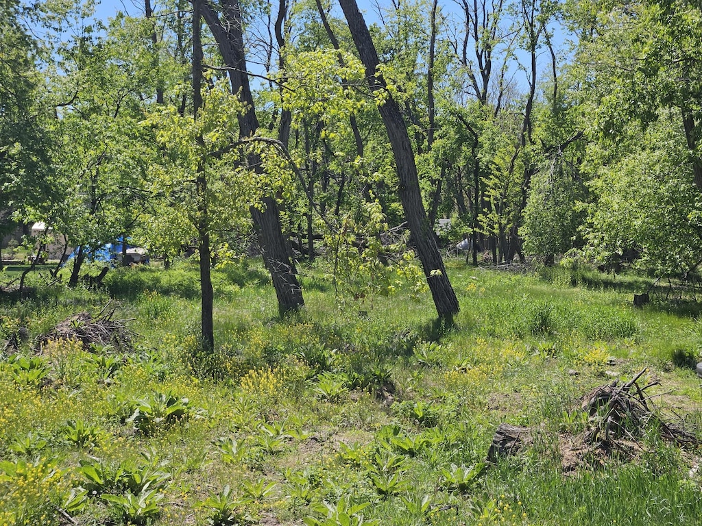 V/L Anderson, Montague, MI 49437 - photo 3