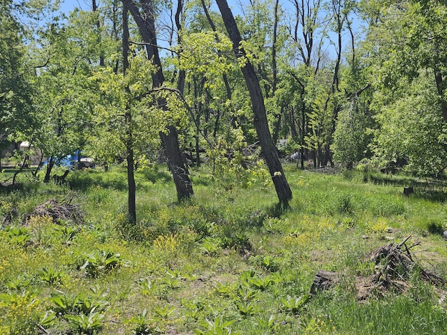 V/L Anderson, Montague, MI 49437 - photo 3