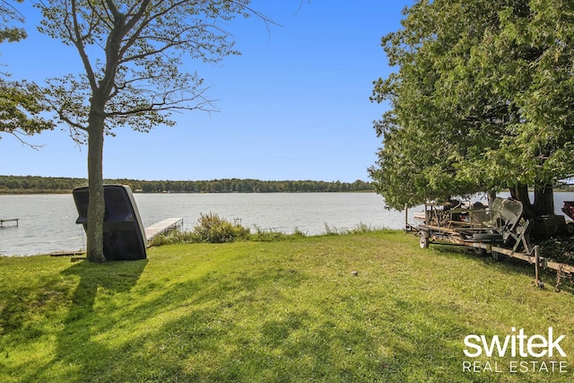 14194 Hicks Lake Rd, Evart, MI 49631 - water view with a boat dock