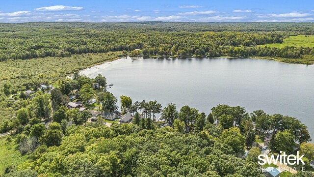 14194 Hicks Lake Rd, Evart, MI 49631 - drone / aerial view with a view of trees and a water view