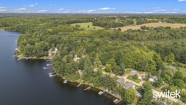 14194 Hicks Lake Rd, Evart, MI 49631 - bird's eye view featuring a forest view and a water view