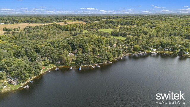 14194 Hicks Lake Rd, Evart, MI 49631 - bird's eye view with a view of trees and a water view