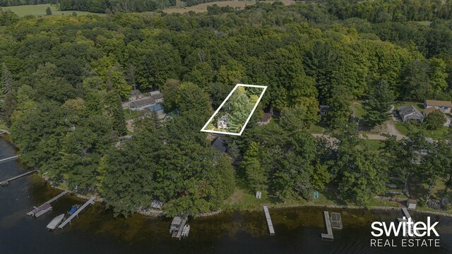 14194 Hicks Lake Rd, Evart, MI 49631 - aerial view featuring a view of trees and a water view