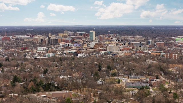 1506 Hillridge Blvd, Ann Arbor, MI 48103 - city view