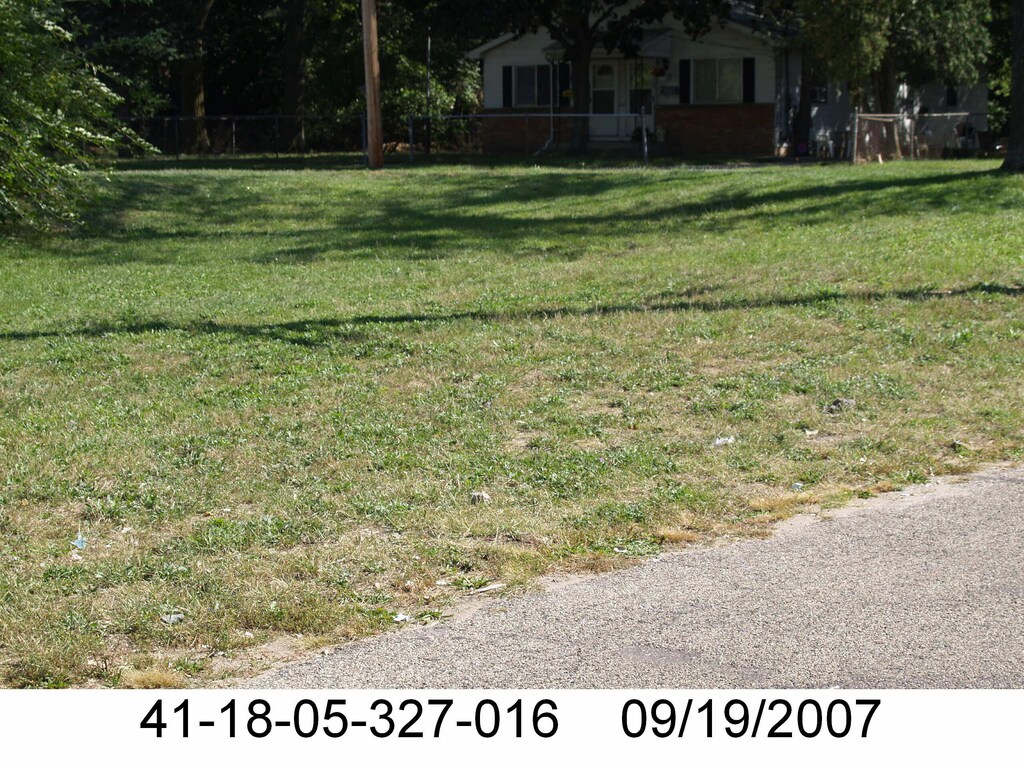 1003 SE Dickinson St, Grand Rapids, MI 49507 - photo 1