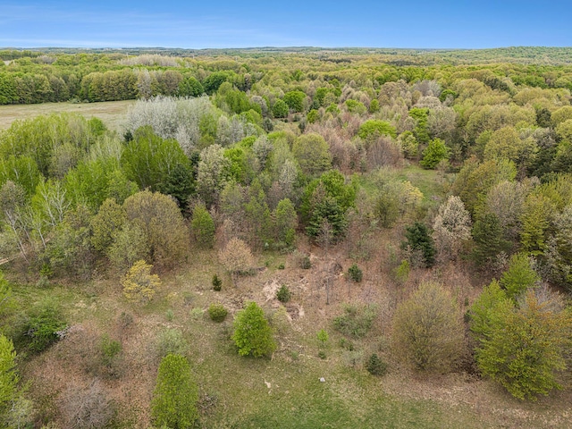 826 W Shelby Rd, Shelby, MI 49455 - photo 36