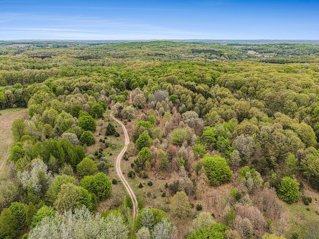826 W Shelby Rd, Shelby, MI 49455 - photo 44