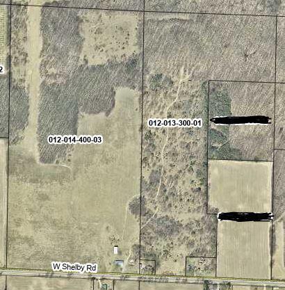 826 W Shelby Rd, Shelby, MI 49455 - photo 6