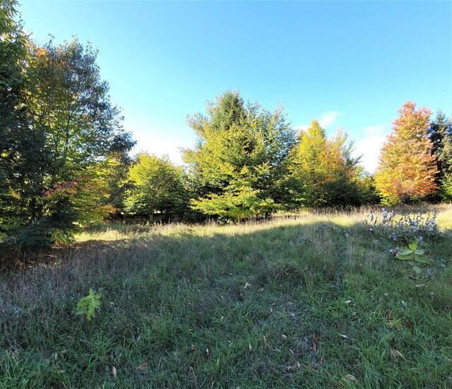 N Slope Dr Lot 114, Onekama, MI 49675