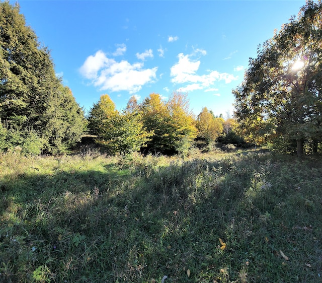 N Slope Dr Lot 114, Onekama, MI 49675