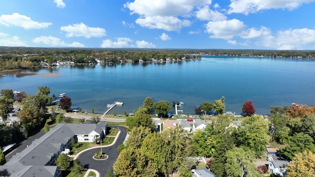 306 Eubank St, Novi, MI 48377 - bird's eye view of a nearby body of water