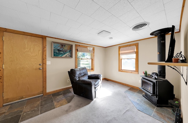 306 Eubank St, Novi, MI 48377 - living area featuring a wood stove, baseboards, and carpet flooring