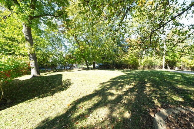 306 Eubank St, Novi, MI 48377 - view of green lawn