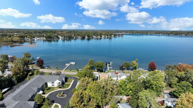 306 Eubank St, Novi, MI 48377 - drone / aerial view of a nearby body of water