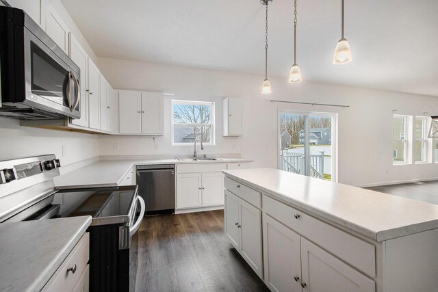 7434 Bramling Dr SE, Caledonia, MI 49316 - kitchen with a sink, plenty of natural light, and stainless steel appliances
