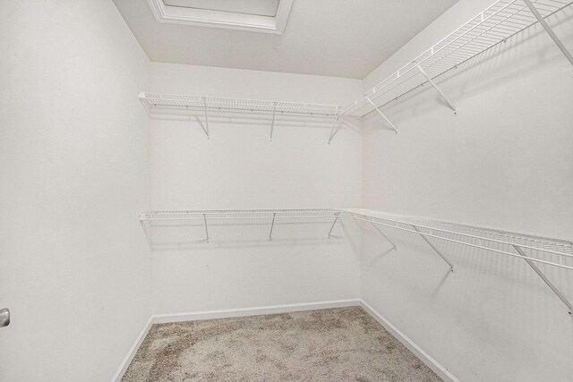 7434 Bramling Dr SE, Caledonia, MI 49316 - walk in closet with light carpet