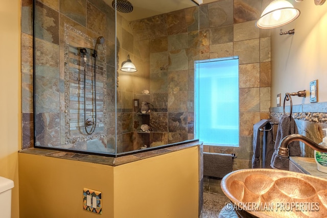 234 Madison Ave SE, Grand Rapids, MI 49503 - full bath with a sink, toilet, and a walk in shower