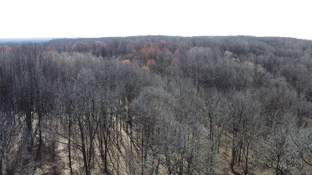 12100 Woodland Trl, Davisburg, MI 48350