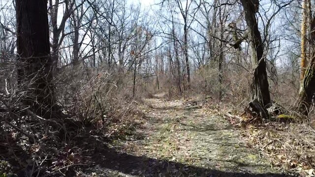 12100 Woodland Trl, Davisburg, MI 48350