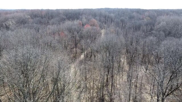12100 Woodland Trl, Davisburg, MI 48350