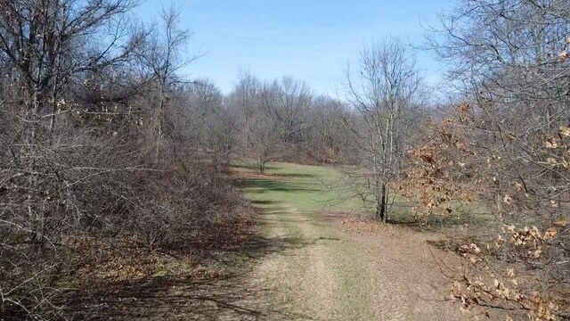 12100 Woodland Trl, Davisburg, MI 48350