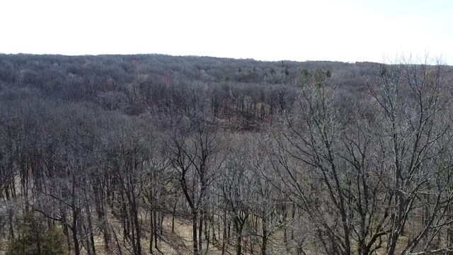 12100 Woodland Trl, Davisburg, MI 48350