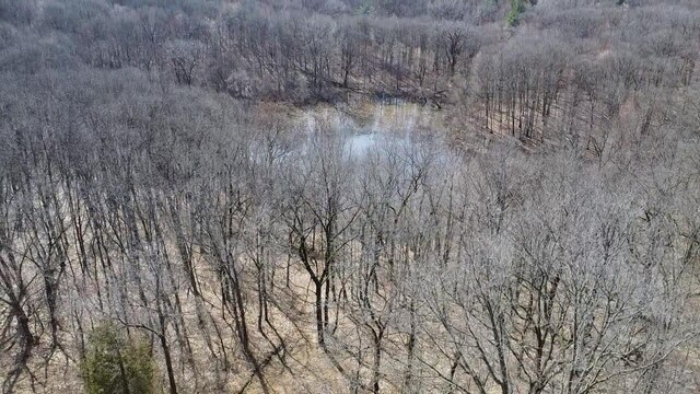 12100 Woodland Trl, Davisburg, MI 48350