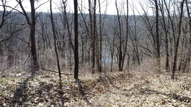 12100 Woodland Trl, Davisburg, MI 48350