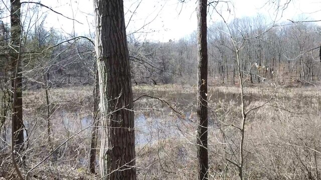 12100 Woodland Trl, Davisburg, MI 48350