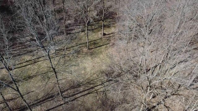 12100 Woodland Trl, Davisburg, MI 48350