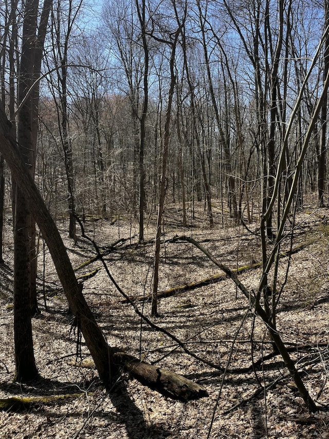 12100 Woodland Trl, Davisburg, MI 48350