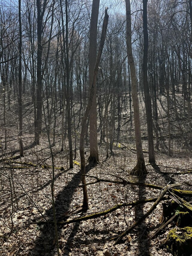 12100 Woodland Trl, Davisburg, MI 48350