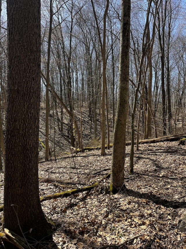 12100 Woodland Trl, Davisburg, MI 48350