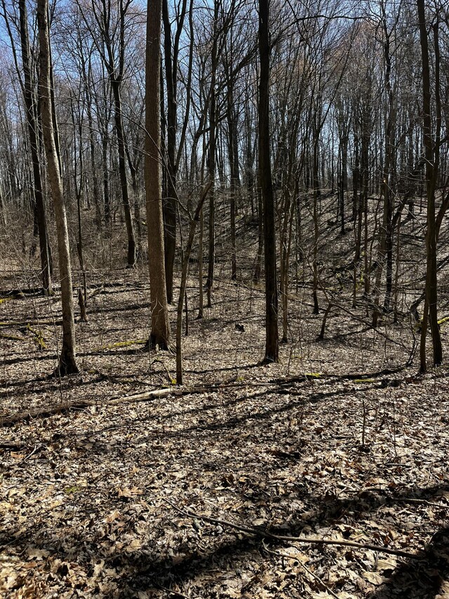 12100 Woodland Trl, Davisburg, MI 48350
