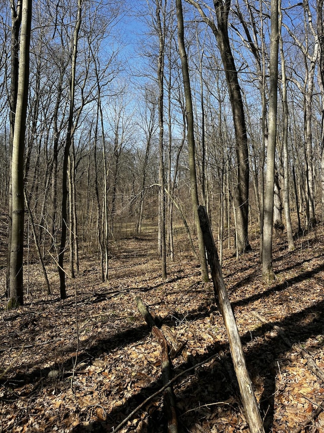 12100 Woodland Trl, Davisburg, MI 48350
