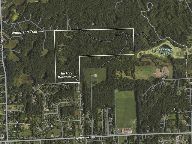 12100 Woodland Trl, Davisburg, MI 48350