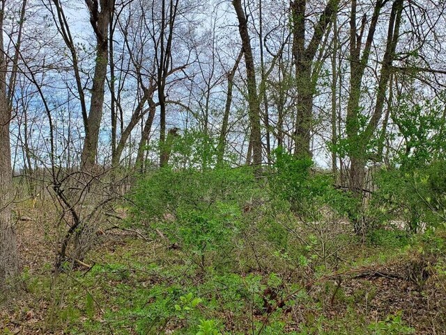 VL N Shore Dr, Delton, MI 49046 - photo 6