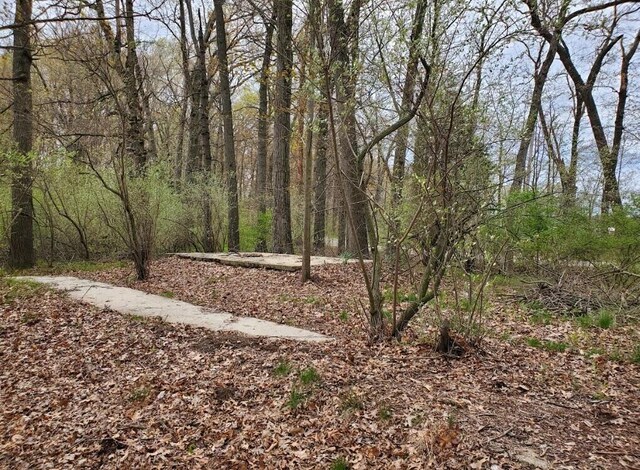 VL N Shore Dr, Delton, MI 49046 - photo 7