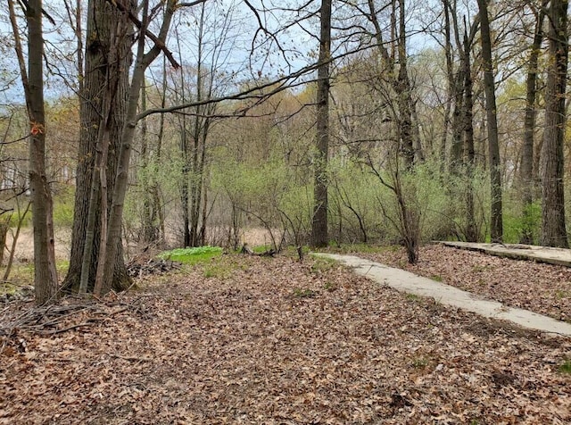 VL N Shore Dr, Delton, MI 49046 - photo 8