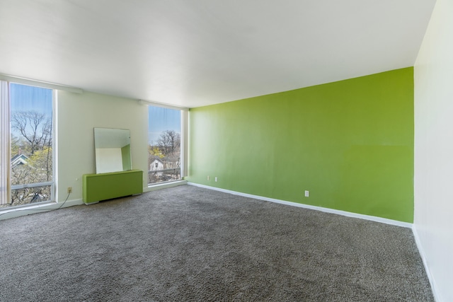 carpeted empty room with baseboards, radiator, and a healthy amount of sunlight