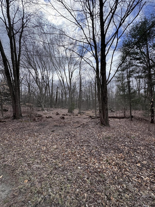 16688 Winans St, West Olive, MI 49460 - photo 2