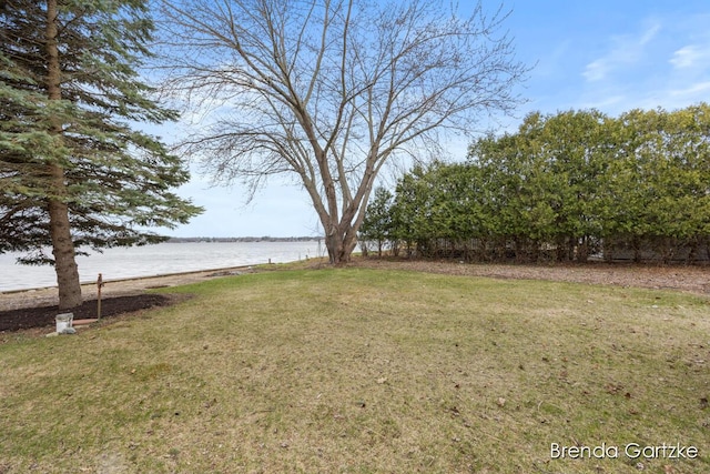 V/L E Suwanee Trl, Howard City, MI 49329