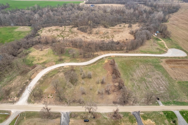 1057 Overlook Dr, Saline, MI 48176 - photo 3