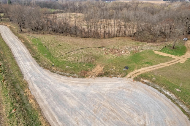 1057 Overlook Dr, Saline, MI 48176 - photo 8