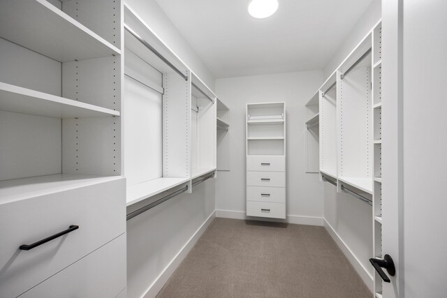 7701 Fase St SE Lot 15, Ada, MI 49301 - walk in closet with carpet flooring